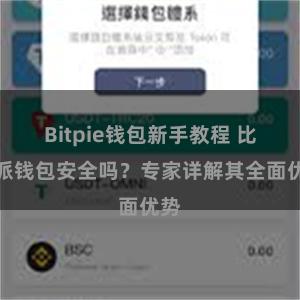 Bitpie钱包新手教程 比特派钱包安全吗？专家详解其全面优势