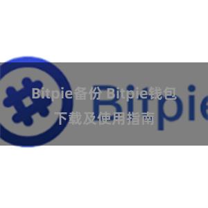 Bitpie备份 Bitpie钱包下载及使用指南