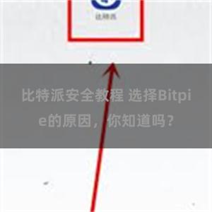 比特派安全教程 选择Bitpie的原因，你知道吗？