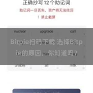 Bitpie扫码下载 选择Bitpie的原因，你知道吗？