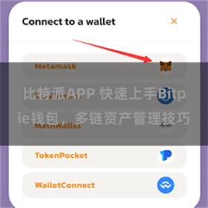 比特派APP 快速上手Bitpie钱包，多链资产管理技巧