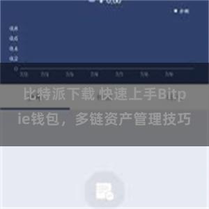 比特派下载 快速上手Bitpie钱包，多链资产管理技巧