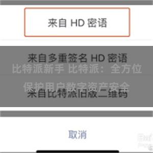 比特派新手 比特派：全方位保护用户数字资产安全