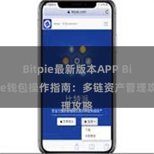 Bitpie最新版本APP Bitpie钱包操作指南：多链资产管理攻略