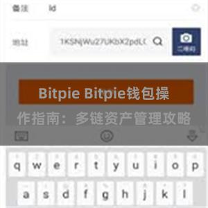 Bitpie Bitpie钱包操作指南：多链资产管理攻略