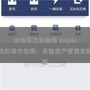 比特派交易指南 Bitpie钱包操作指南：多链资产管理攻略