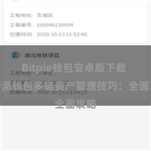 Bitpie钱包安卓版下载 比特派钱包多链资产管理技巧：全面攻略