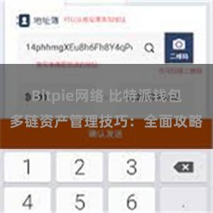 Bitpie网络 比特派钱包多链资产管理技巧：全面攻略