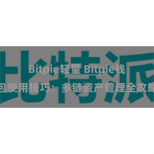 Bitpie轻量 Bitpie钱包使用技巧：多链资产管理全攻略