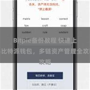 Bitpie备份教程 快速上手比特派钱包，多链资产管理全攻略