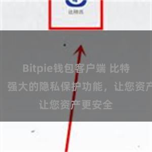 Bitpie钱包客户端 比特派钱包：强大的隐私保护功能，让您资产更安全