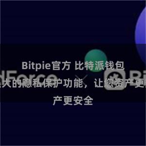 Bitpie官方 比特派钱包：强大的隐私保护功能，让您资产更安全