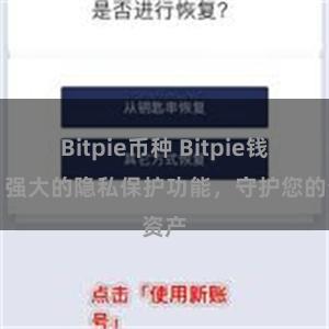 Bitpie币种 Bitpie钱包：强大的隐私保护功能，守护您的资产