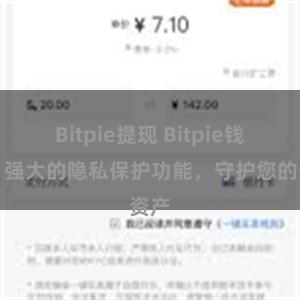 Bitpie提现 Bitpie钱包：强大的隐私保护功能，守护您的资产