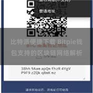 比特派便捷下载 Bitpie钱包支持的区块链网络解析