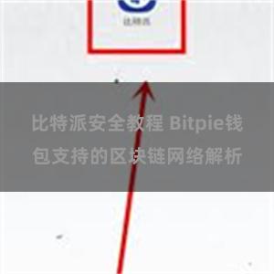 比特派安全教程 Bitpie钱包支持的区块链网络解析