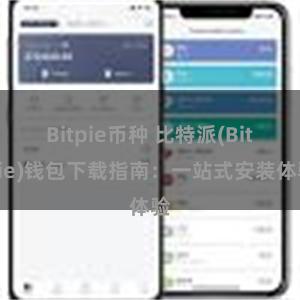 Bitpie币种 比特派(Bitpie)钱包下载指南：一站式安装体验