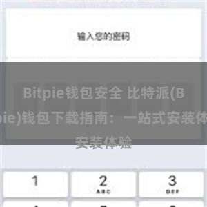 Bitpie钱包安全 比特派(Bitpie)钱包下载指南：一站式安装体验