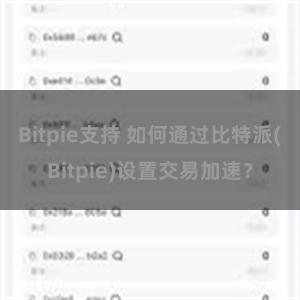 Bitpie支持 如何通过比特派(Bitpie)设置交易加速？