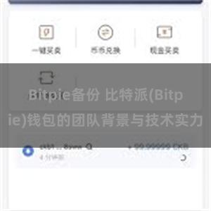 Bitpie备份 比特派(Bitpie)钱包的团队背景与技术实力