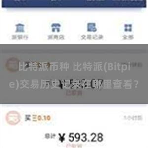 比特派币种 比特派(Bitpie)交易历史记录在哪里查看？