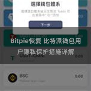 Bitpie恢复 比特派钱包用户隐私保护措施详解