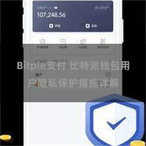 Bitpie支付 比特派钱包用户隐私保护措施详解