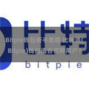 Bitpie钱包新手教程 比特派(Bitpie)钱包适合何种用户？