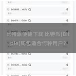 比特派便捷下载 比特派(Bitpie)钱包适合何种用户？