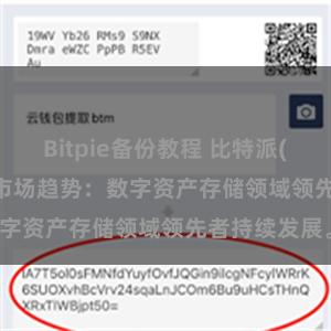 Bitpie备份教程 比特派(Bitpie)钱包市场趋势：数字资产存储领域领先者持续发展。