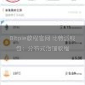 Bitpie教程官网 比特派钱包：分布式治理教程
